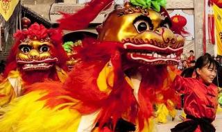 世界上最古老的鸭子 世界上最古老的鸭子