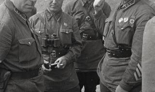 误入狼群的小绵羊