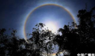 日晕代表什么预兆 日晕代表什么预兆