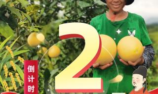 2023年丰收答卷请查收 2023年丰收答卷请查收