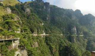 武功山帐篷节 武功山帐篷节