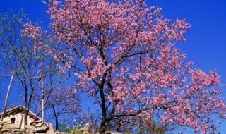 荥阳环翠峪风景区 荥阳环翠峪风景区