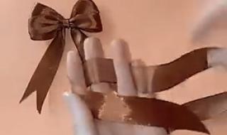 蝴蝶结的打法慢动作