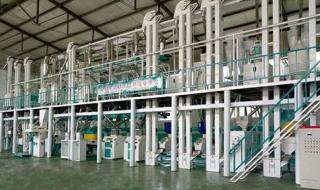 大米加工设备多少钱 大米加工设备多少钱